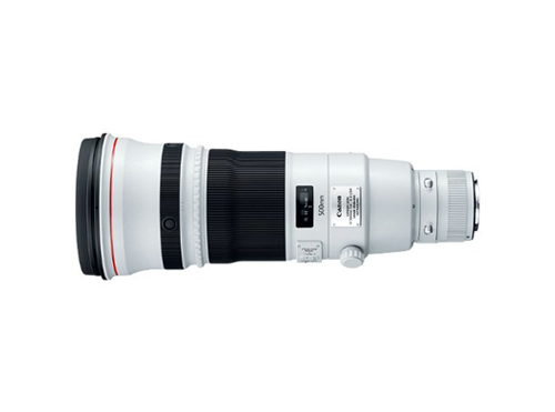 Canon EF 500mm f/4L IS II USM Lens - A Lens for Hire